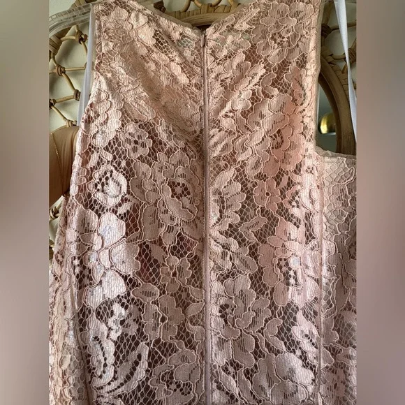 Avery G, pink lace mermaid gown, Women's size 10 - Picture 7 of 8